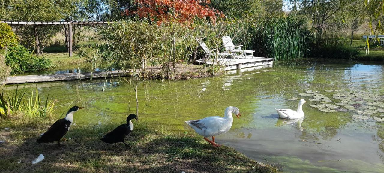 El Tramway Casa Antigua De Campo Bed & Breakfast San Antonio de Areco Dış mekan fotoğraf