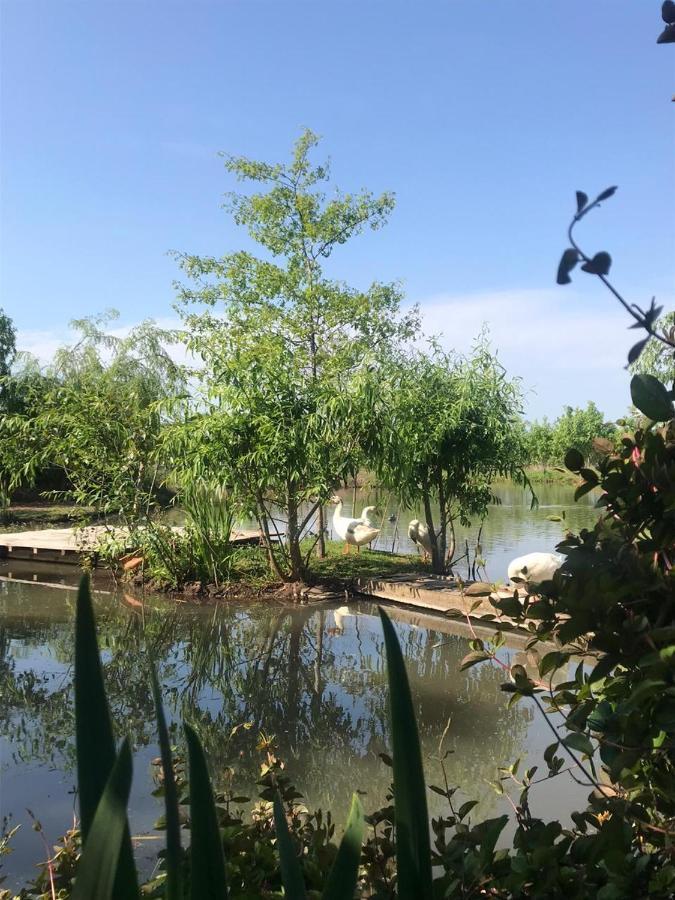 El Tramway Casa Antigua De Campo Bed & Breakfast San Antonio de Areco Dış mekan fotoğraf