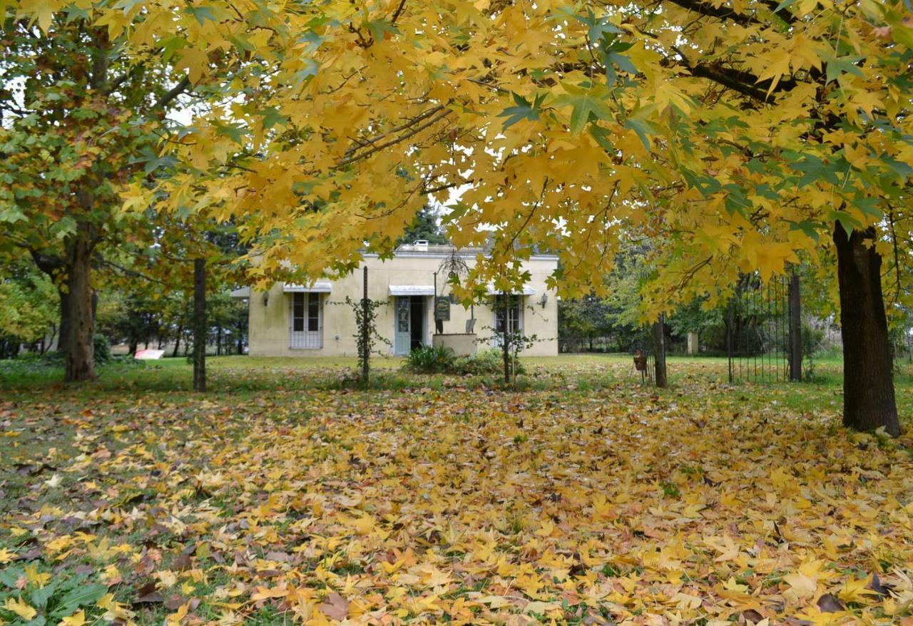El Tramway Casa Antigua De Campo Bed & Breakfast San Antonio de Areco Dış mekan fotoğraf